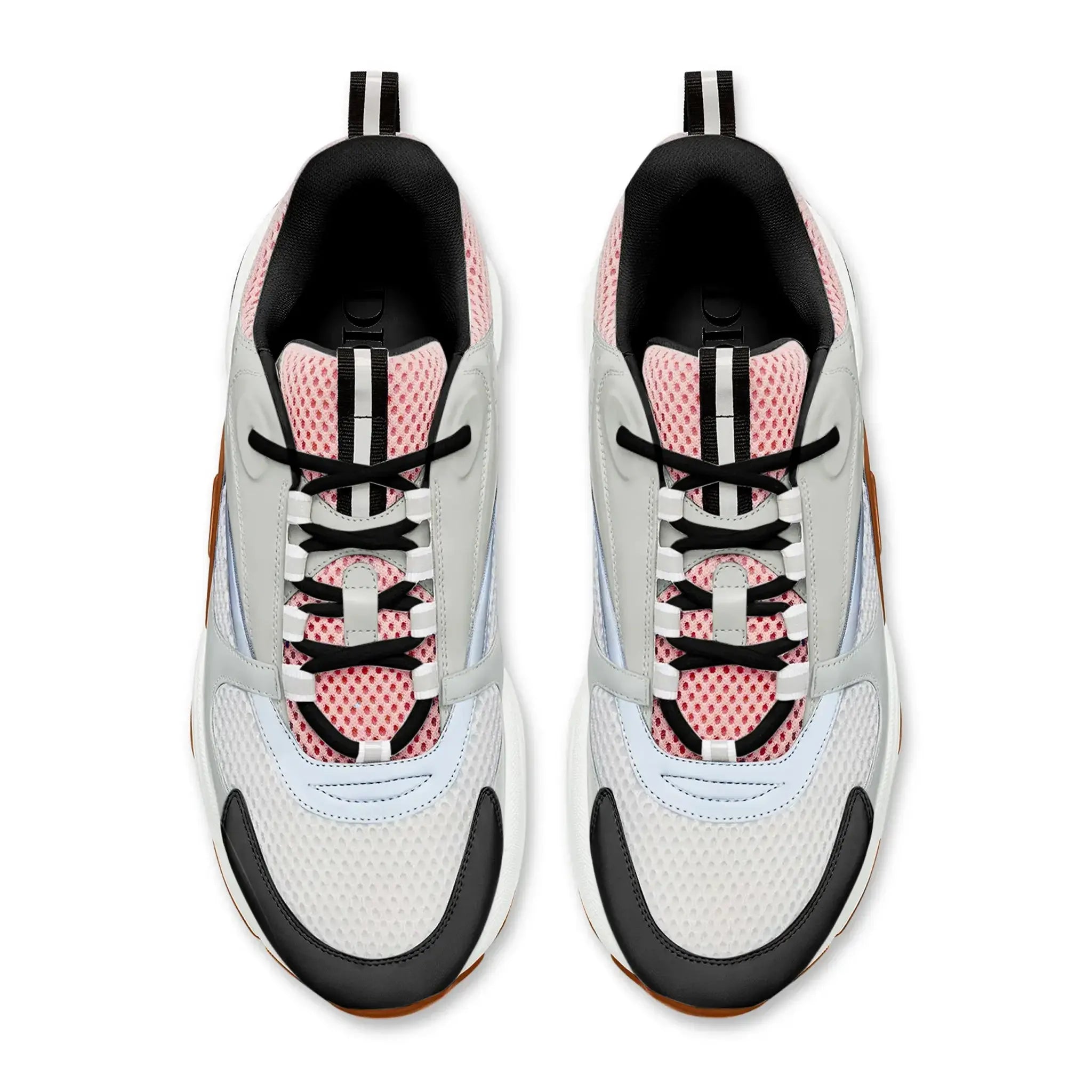 Dior B22